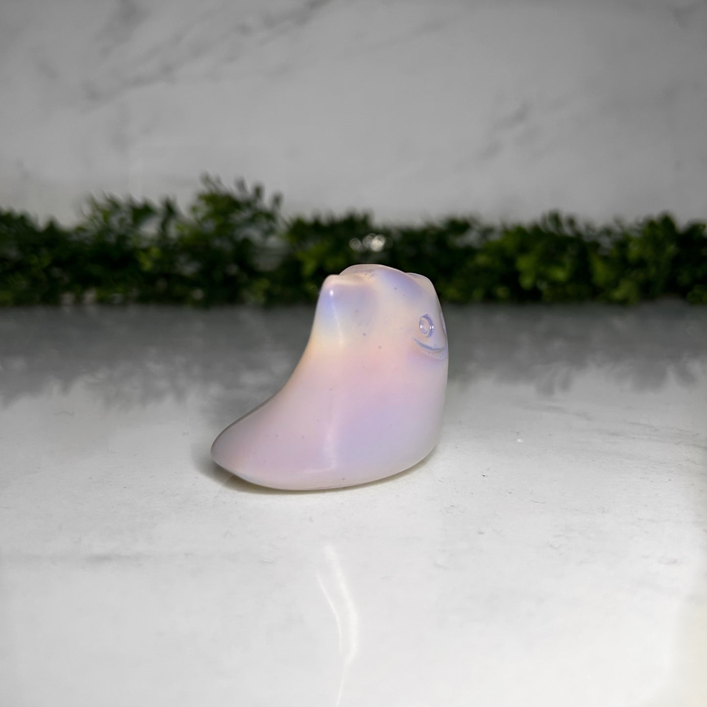 Ditto