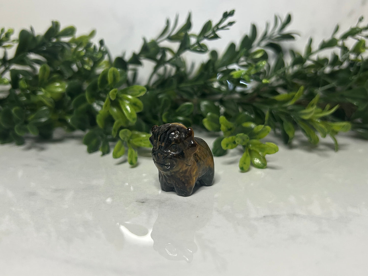 Mini Highland Cow