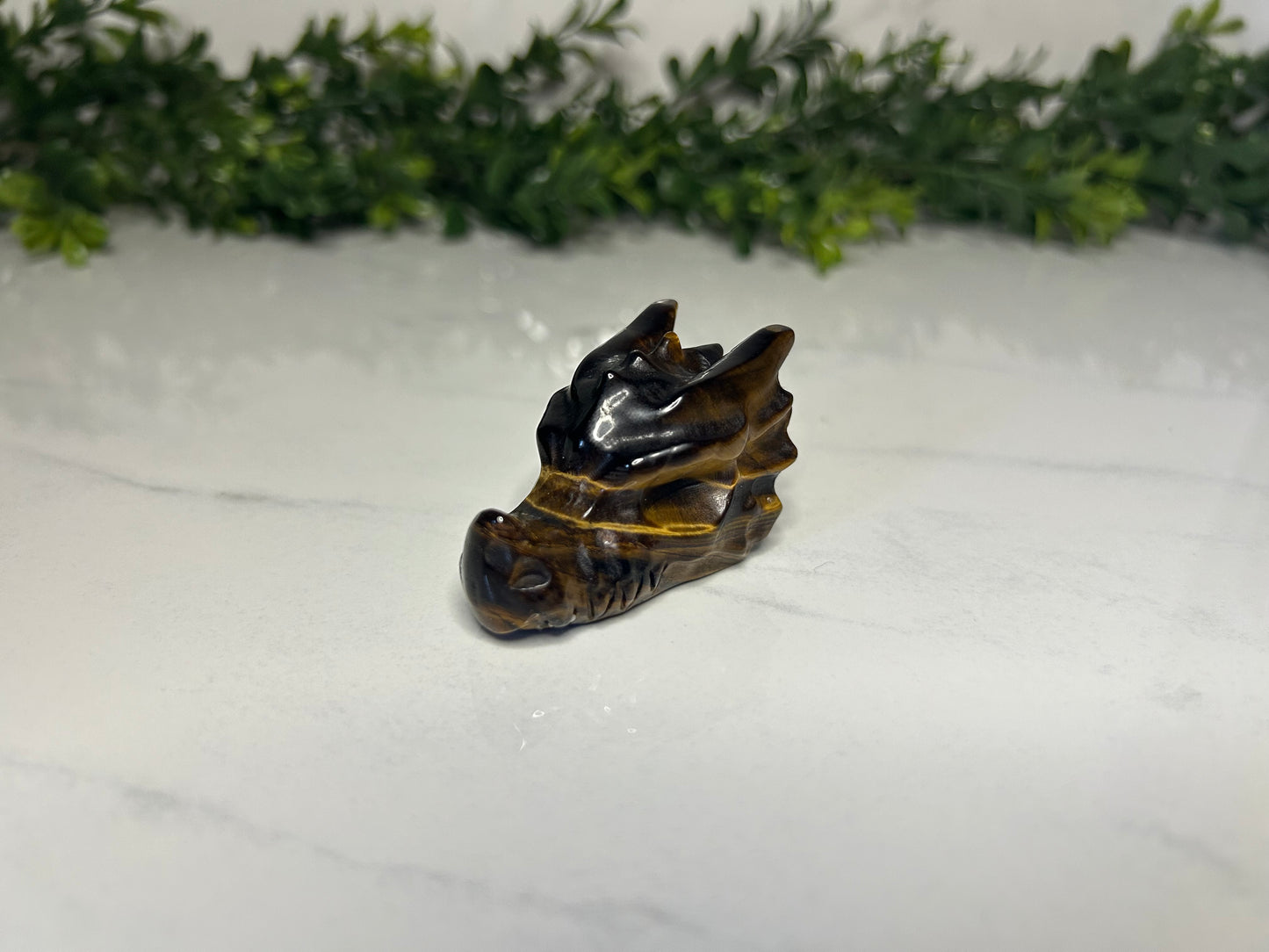 Dragon Heads