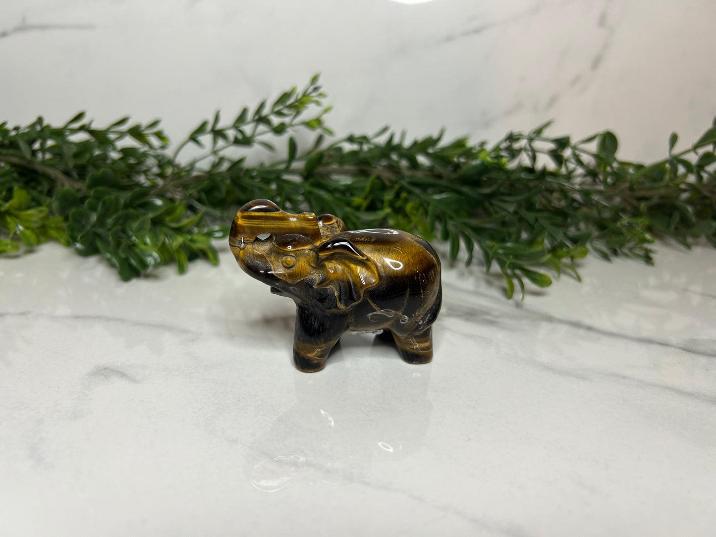 Elephants