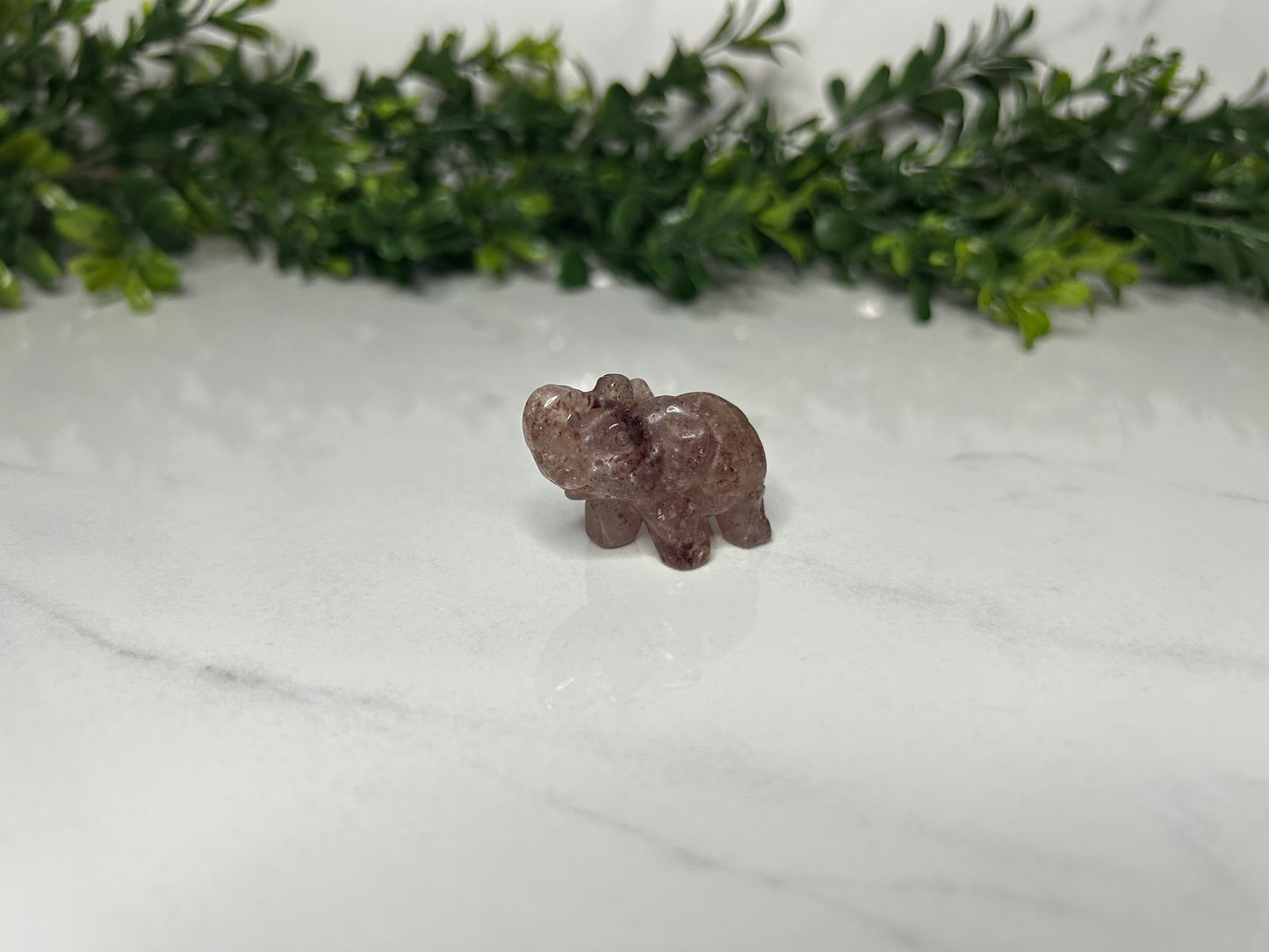 Mini Elephants
