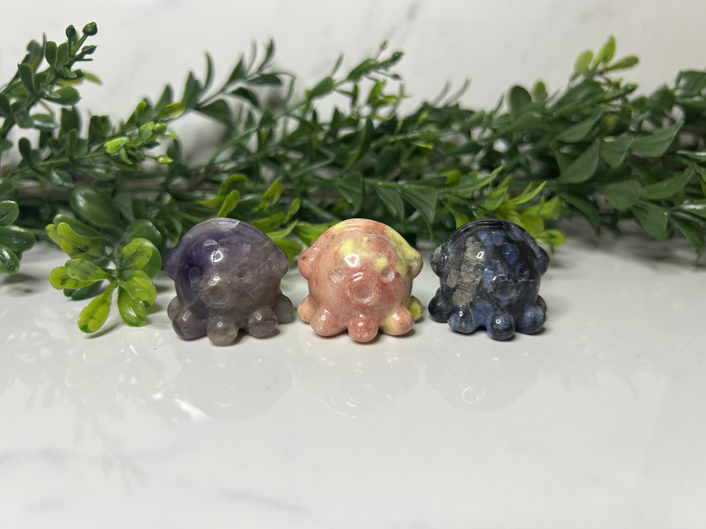 Mini Octopuses