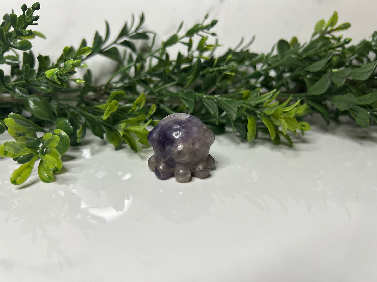 Mini Octopuses