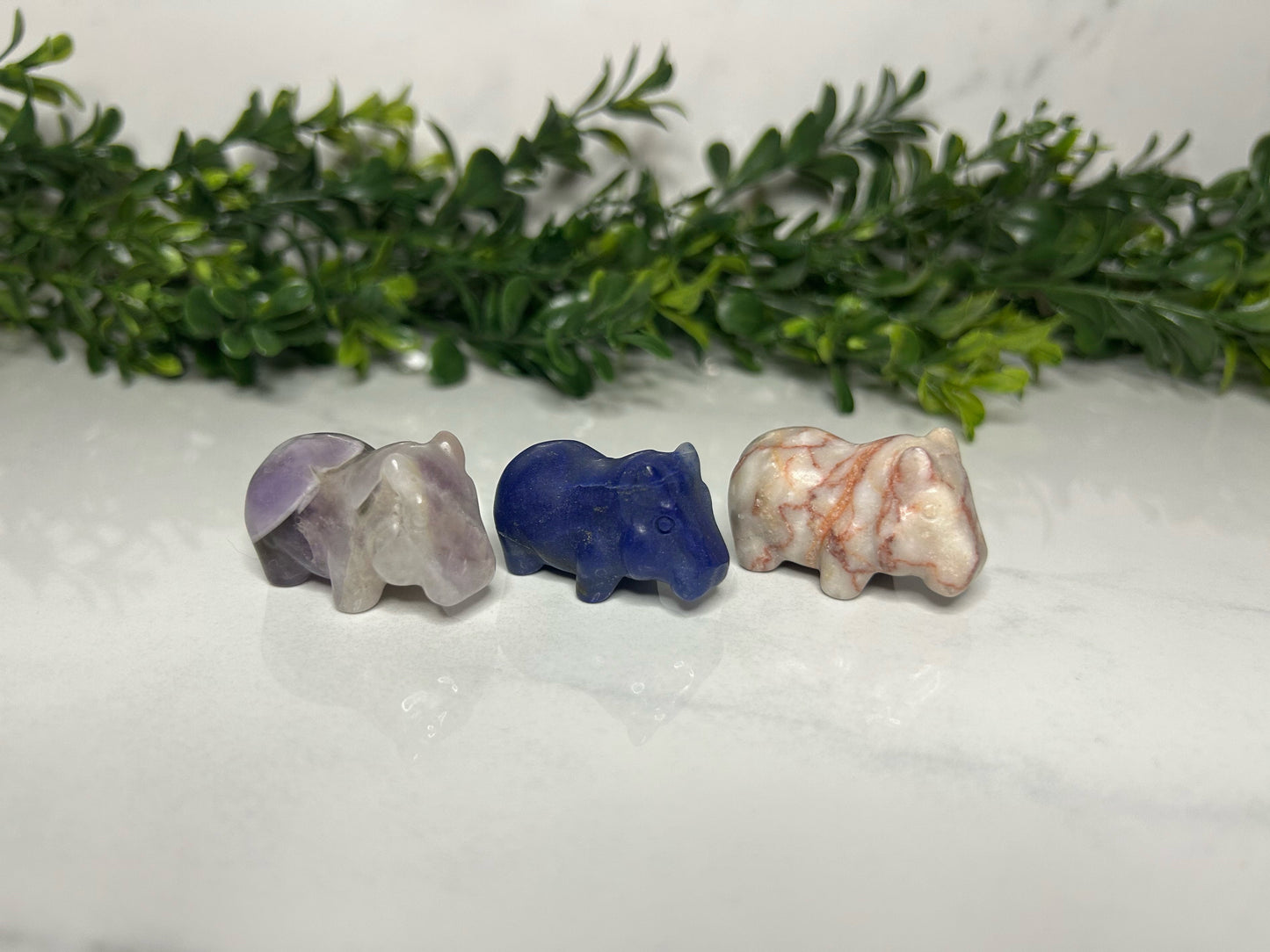 Mini Hippos