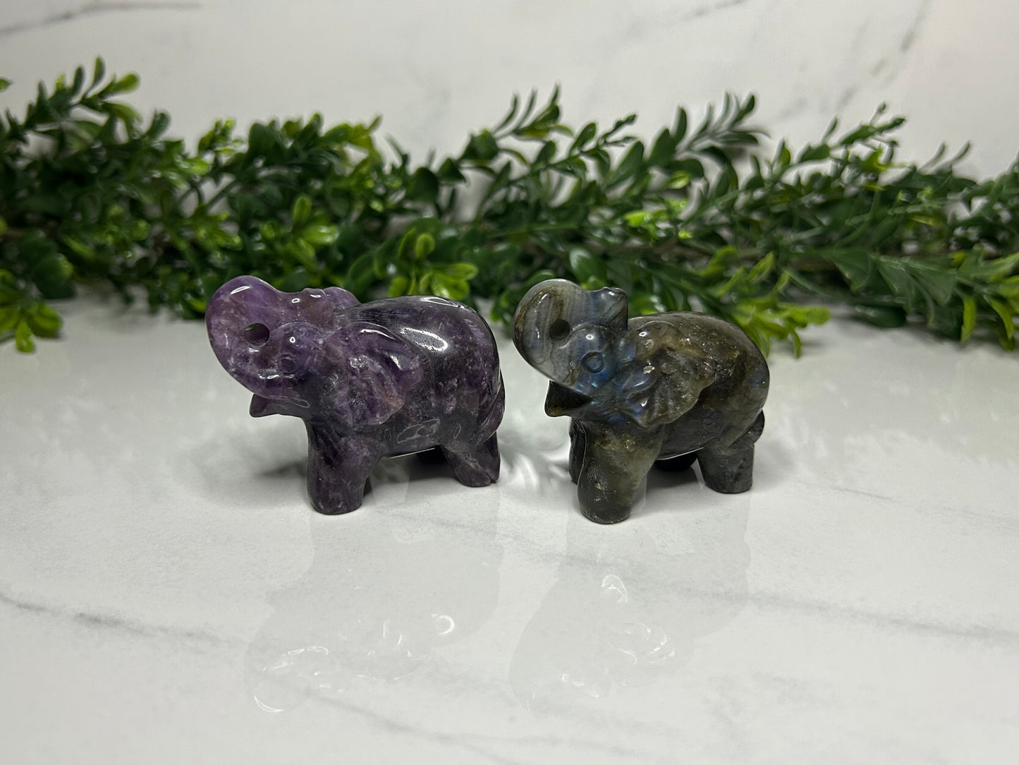 Elephants