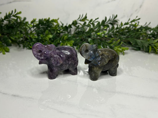 Elephants