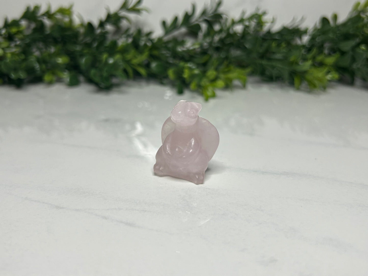 Mini Dragon