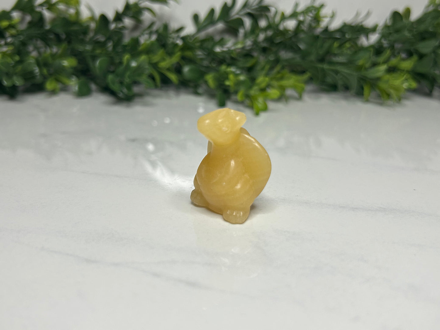 Mini Dragon