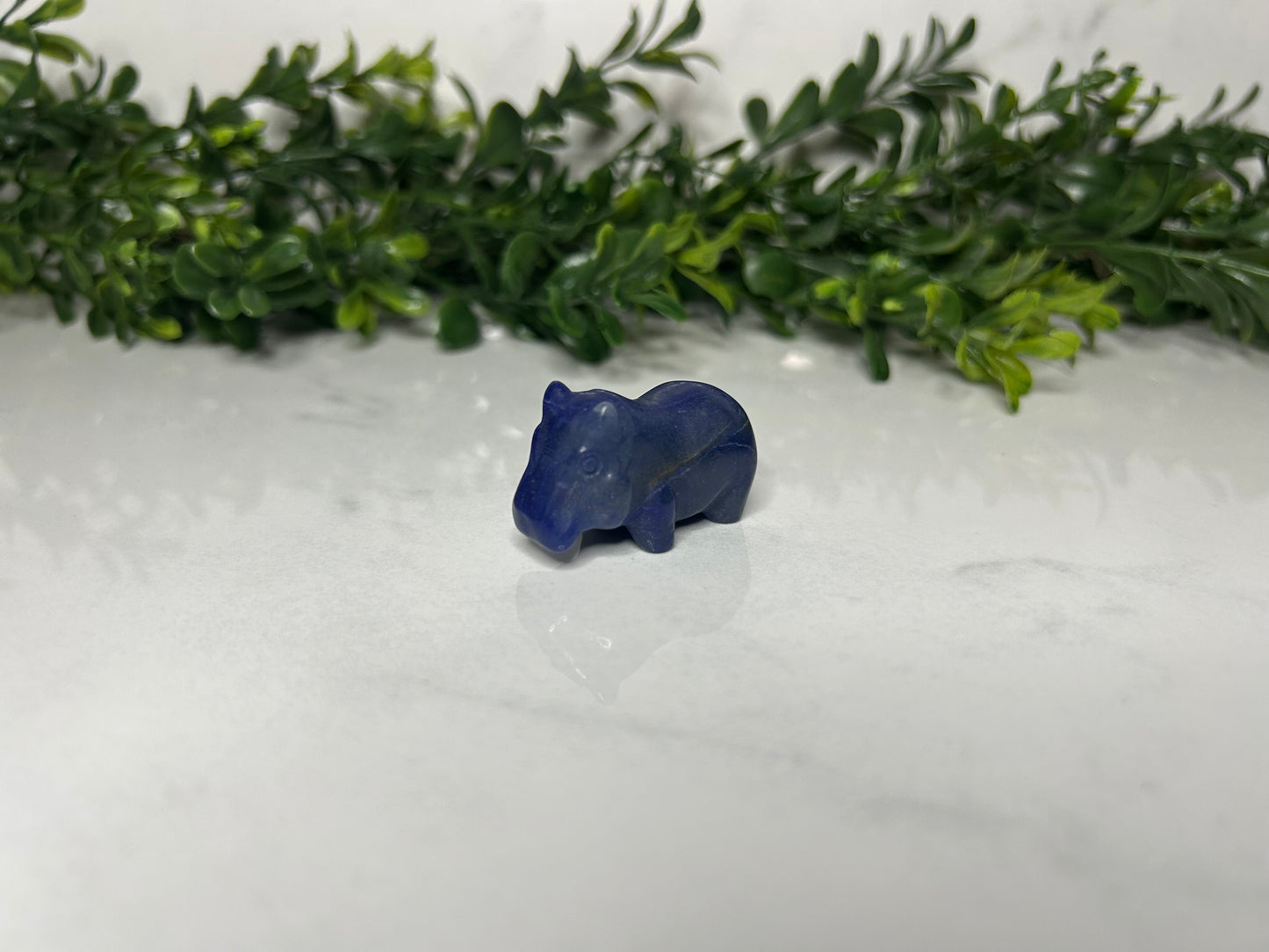 Mini Hippos
