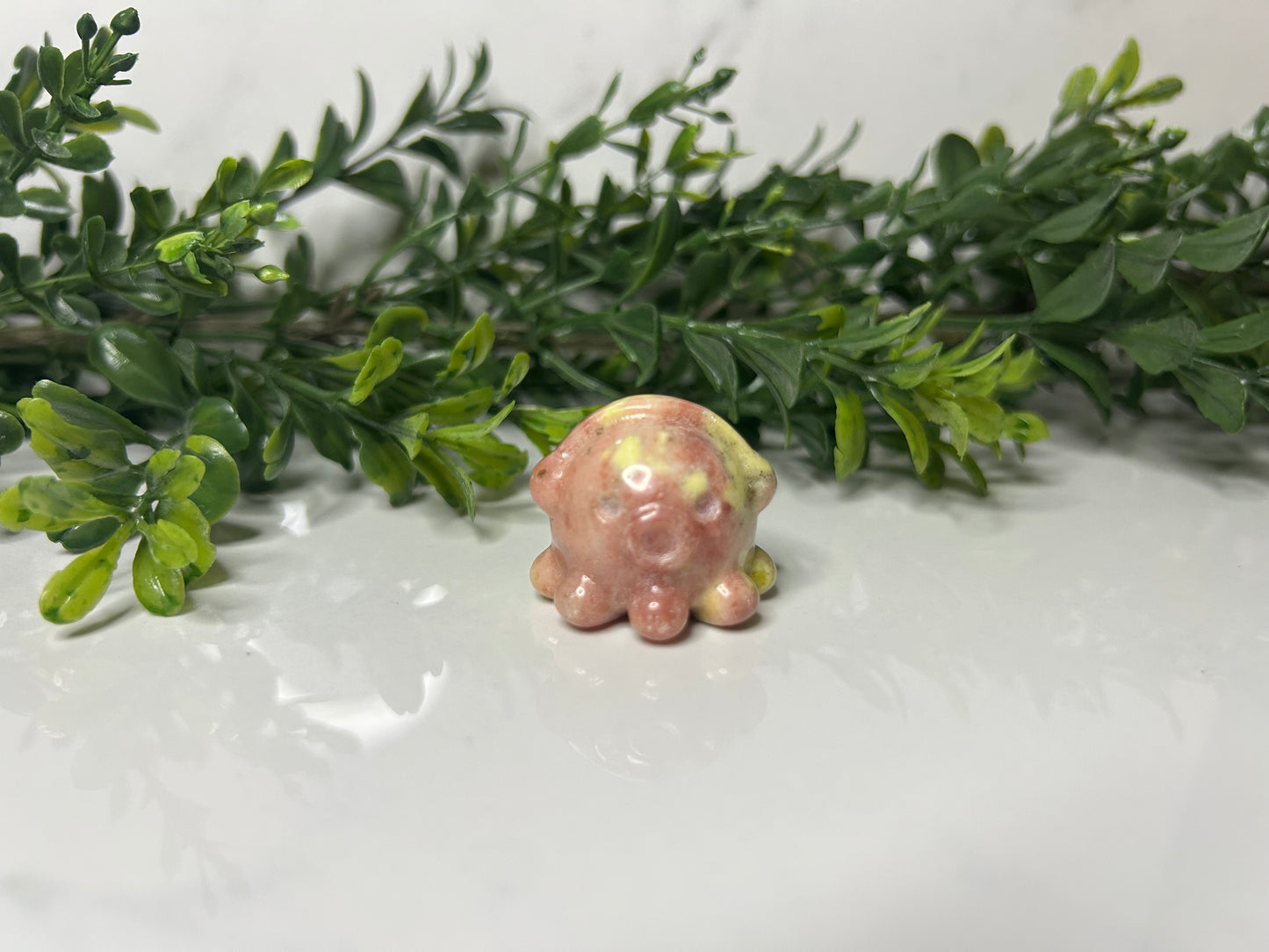 Mini Octopuses