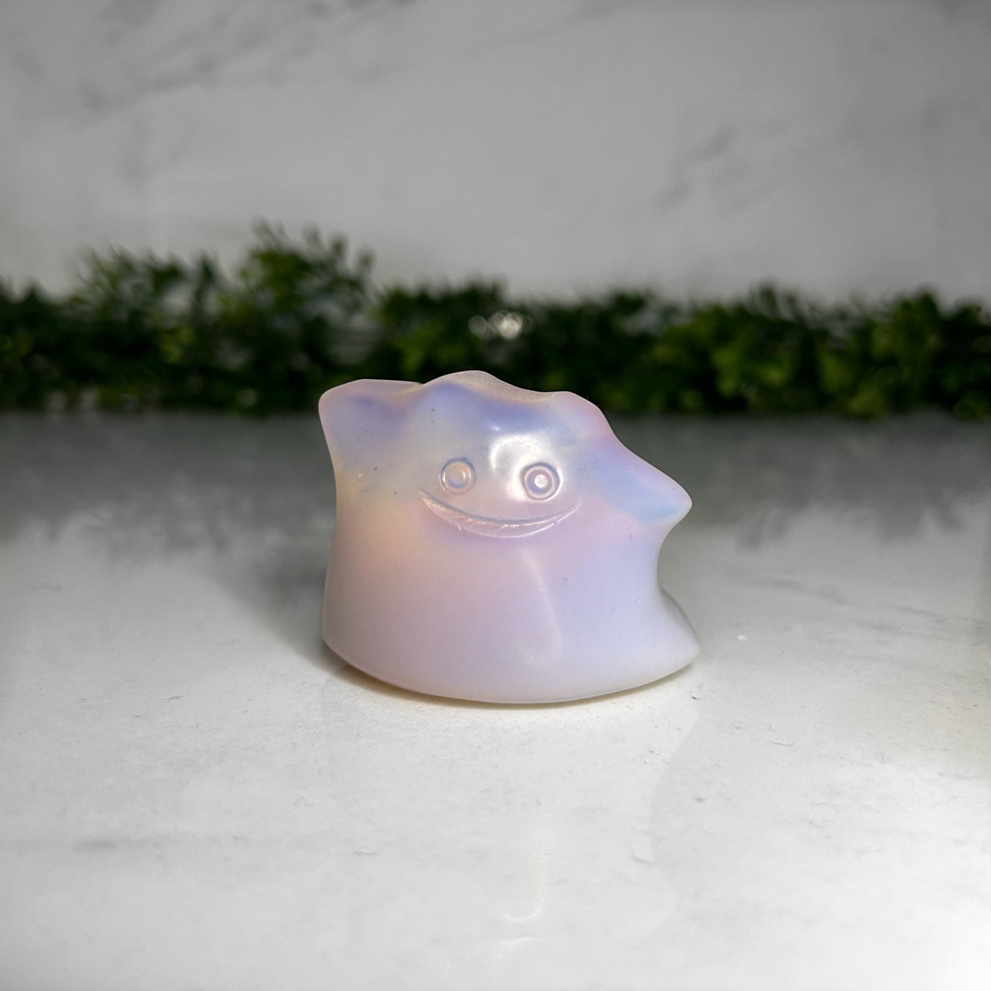 Ditto
