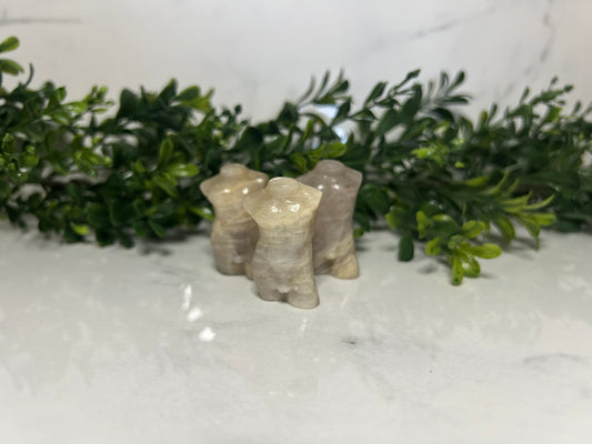 Mini Men’s Bodies