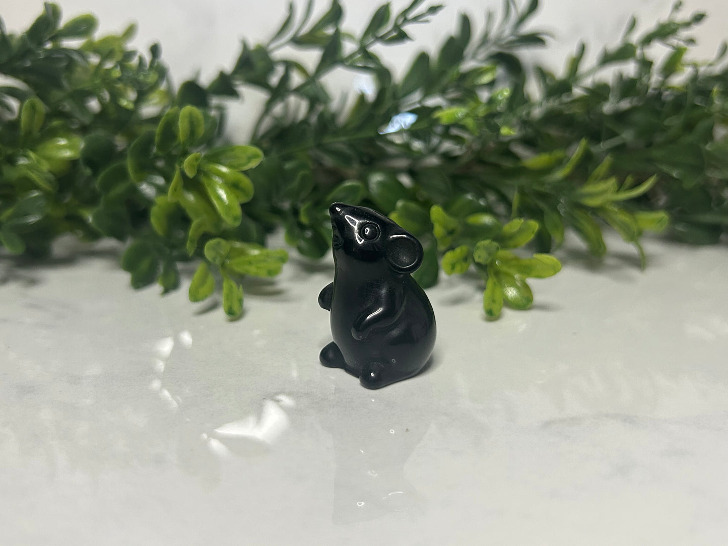 Mini Mice