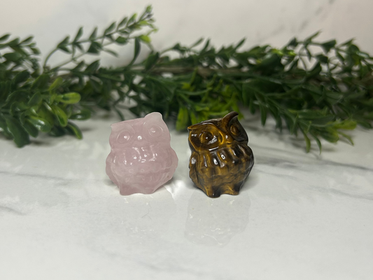 Mini Owl