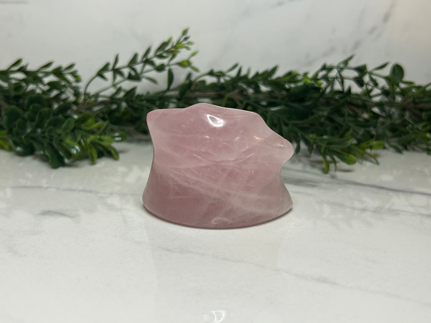 Ditto