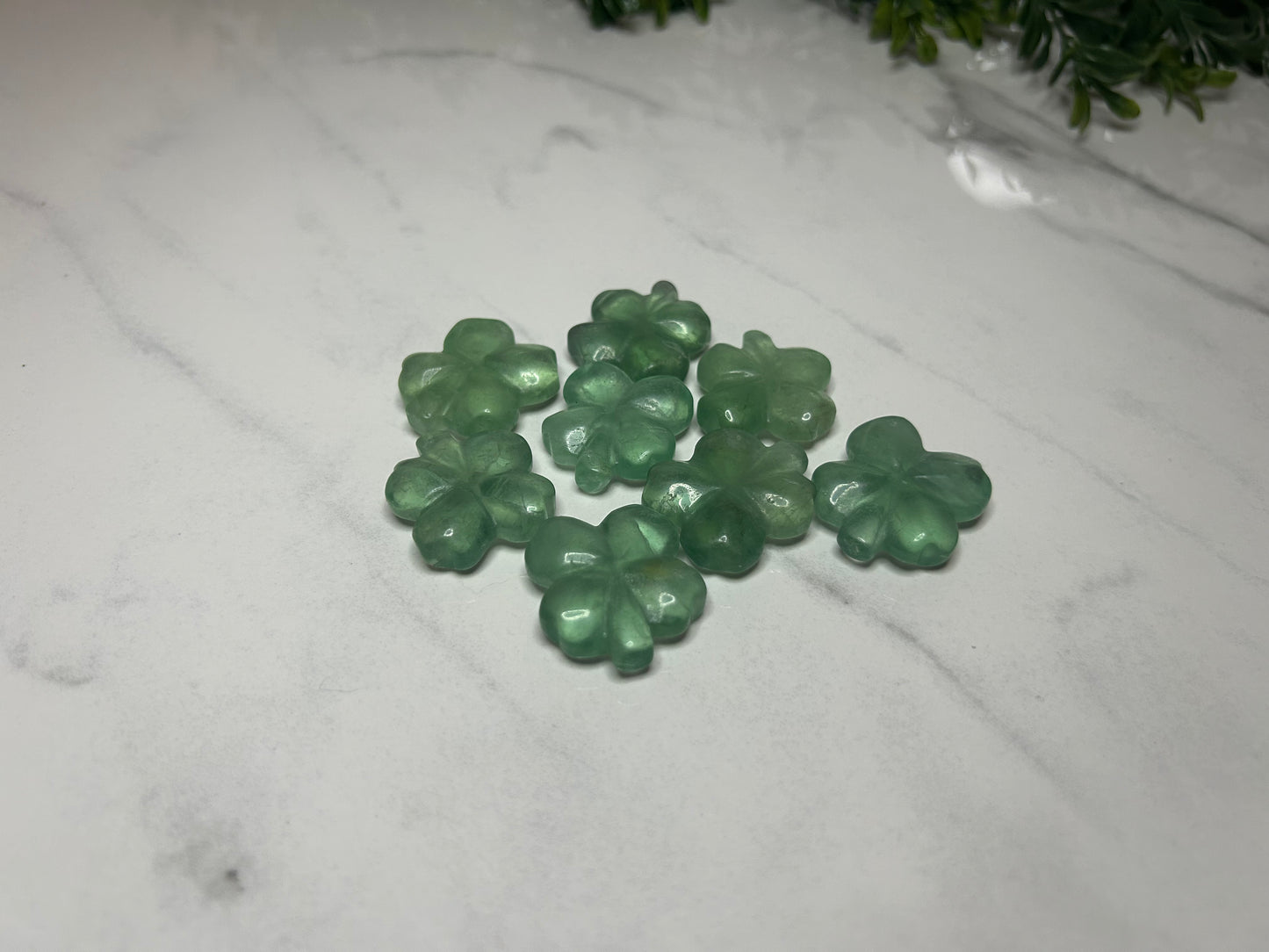 Four Leaf Clovers