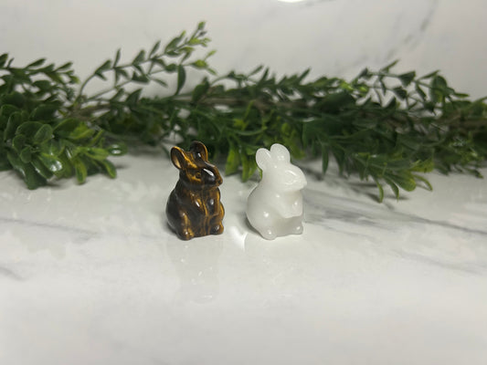 Mini Bunnies