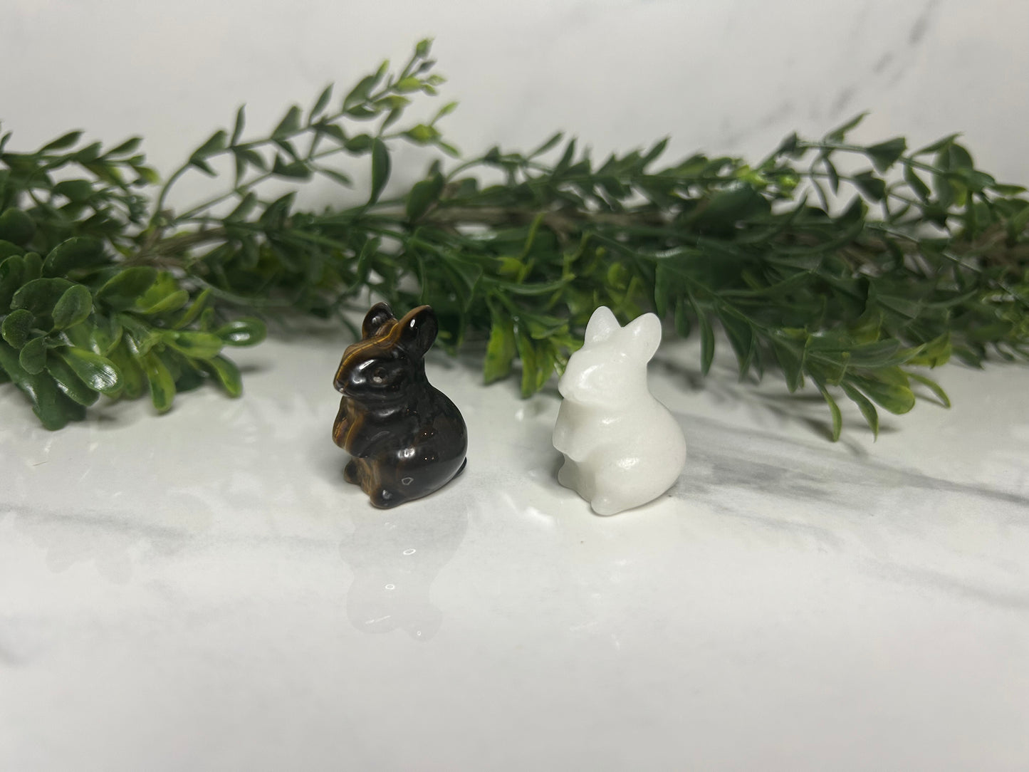 Mini Bunnies
